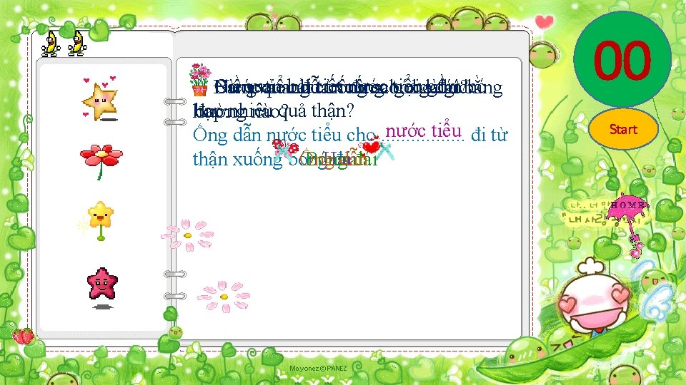 Cơ quan tiết nước tiểu gồm có Điền vào chỗ trống saobóng cholà thích