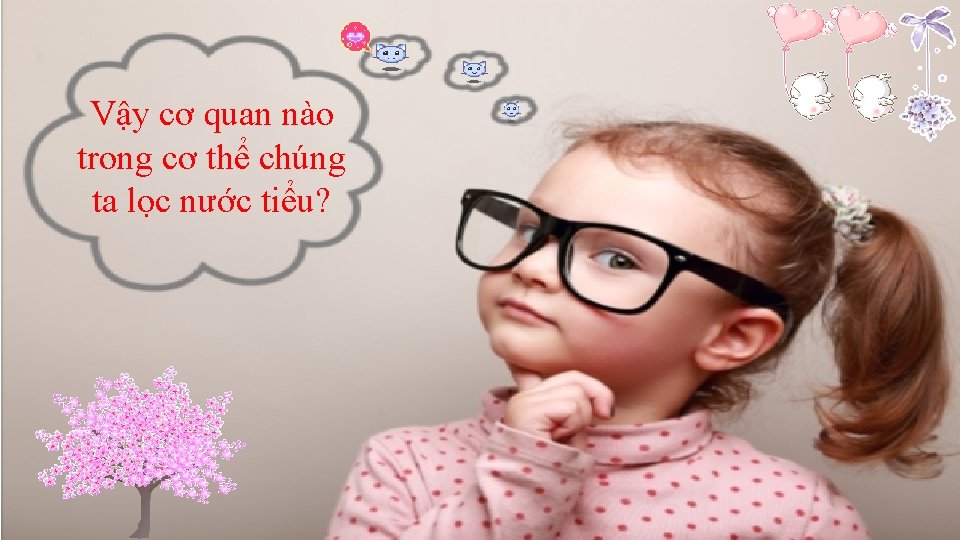 Vậy cơ quan nào trong cơ thể chúng ta lọc nước tiểu? 