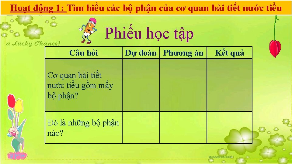 Hoạt động 1: Tìm hiểu các bộ phận của cơ quan bài tiết nước