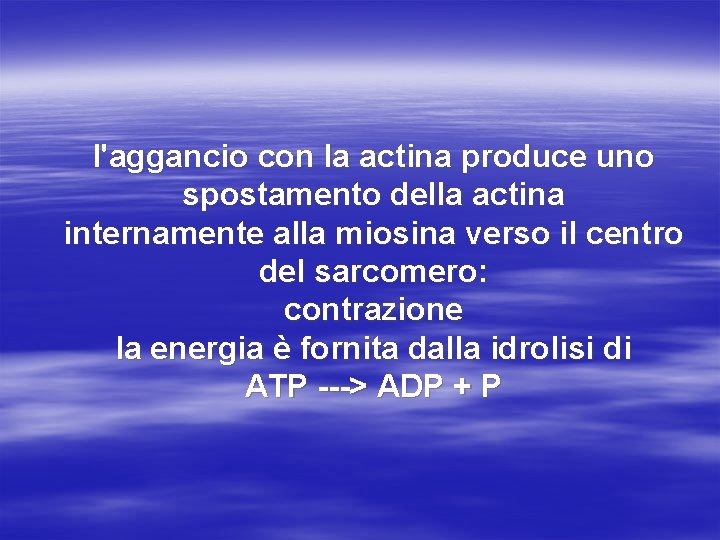 l'aggancio con la actina produce uno spostamento della actina internamente alla miosina verso il