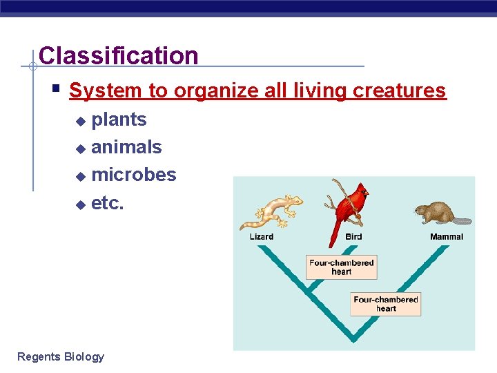 Classification § System to organize all living creatures plants u animals u microbes u