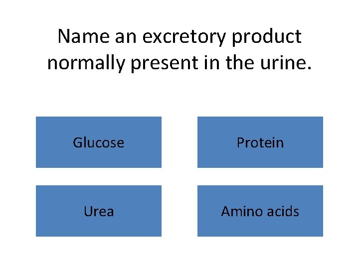 Name an excretory product normally present in the urine. Glucose Protein Urea Amino acids