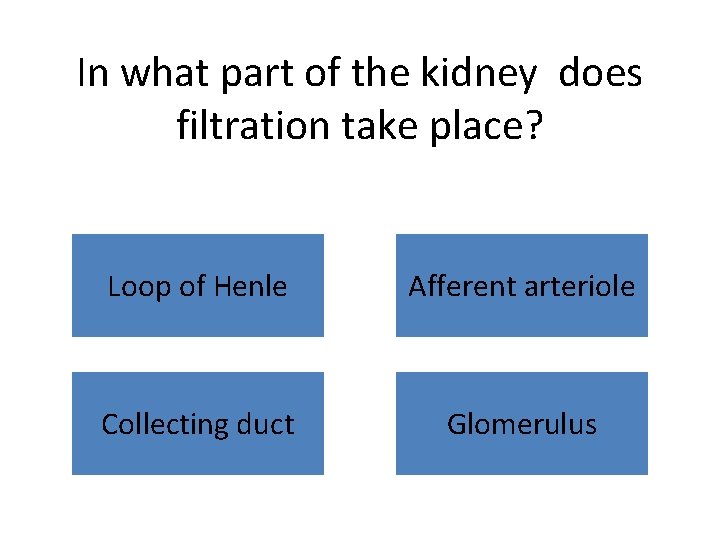 In what part of the kidney does filtration take place? Loop of Henle Afferent
