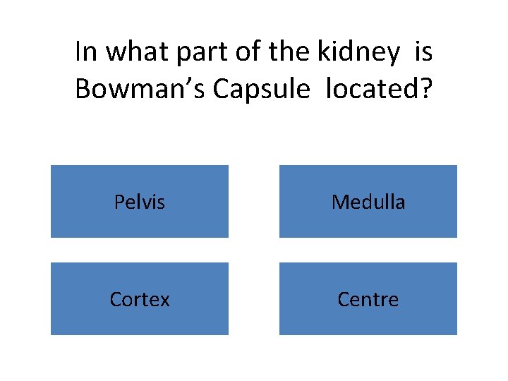 In what part of the kidney is Bowman’s Capsule located? Pelvis Medulla Cortex Centre