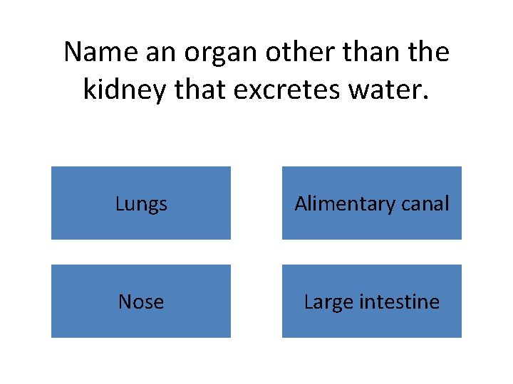 Name an organ other than the kidney that excretes water. Lungs Alimentary canal Nose