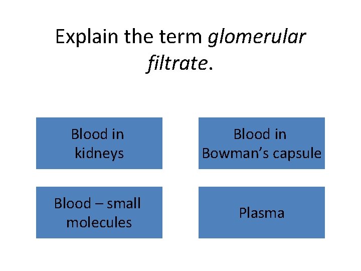 Explain the term glomerular filtrate. Blood in kidneys Blood in Bowman’s capsule Blood –