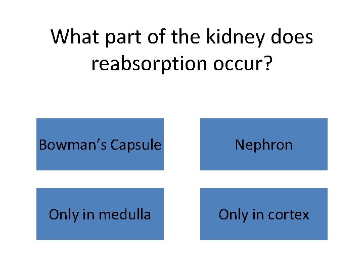 What part of the kidney does reabsorption occur? Bowman’s Capsule Nephron Only in medulla