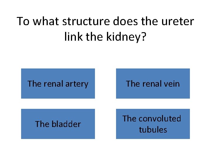 To what structure does the ureter link the kidney? The renal artery The renal