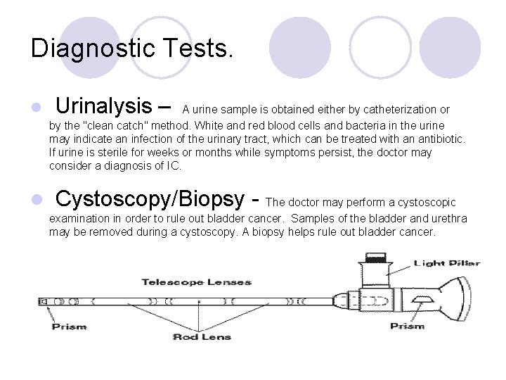 Diagnostic Tests. Urinalysis – l A urine sample is obtained either by catheterization or