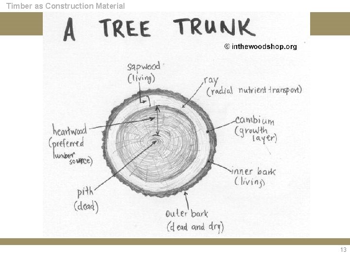 Timber as Construction Material 13 