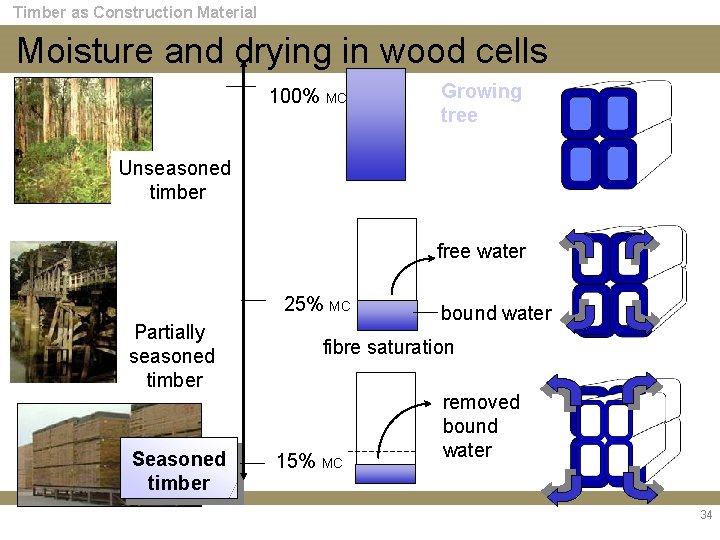 Timber as Construction Material Moisture and drying in wood cells 100% MC Growing tree
