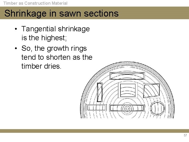 Timber as Construction Material Shrinkage in sawn sections • Tangential shrinkage is the highest;