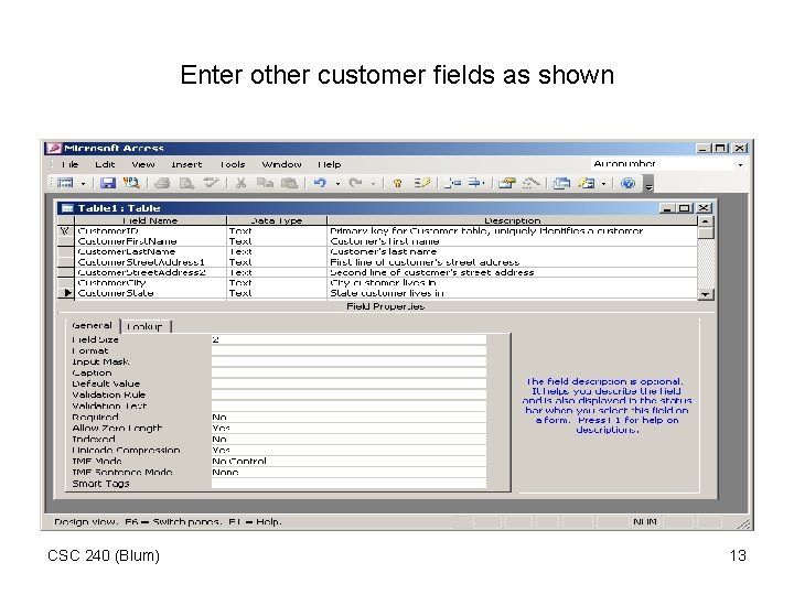 Enter other customer fields as shown CSC 240 (Blum) 13 