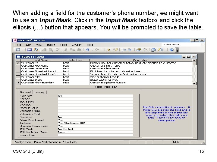 When adding a field for the customer’s phone number, we might want to use