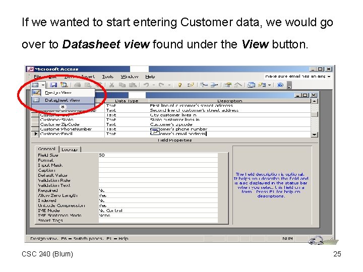 If we wanted to start entering Customer data, we would go over to Datasheet