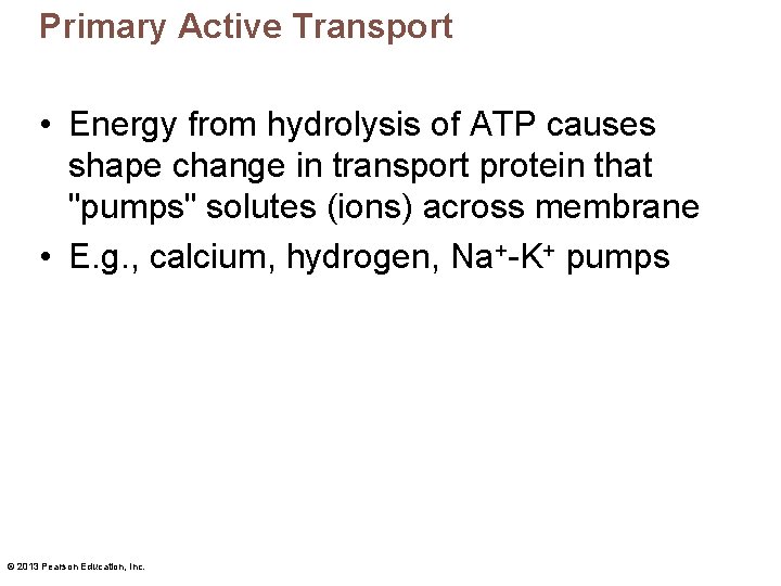 Primary Active Transport • Energy from hydrolysis of ATP causes shape change in transport