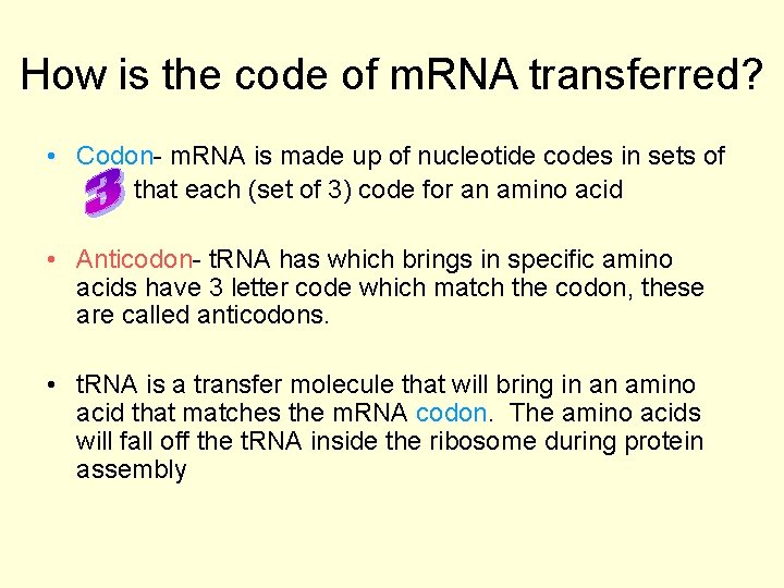 How is the code of m. RNA transferred? • Codon- m. RNA is made