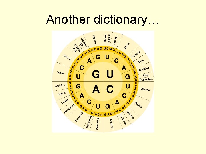 Section 12 -3 Go to Section: Another dictionary… 
