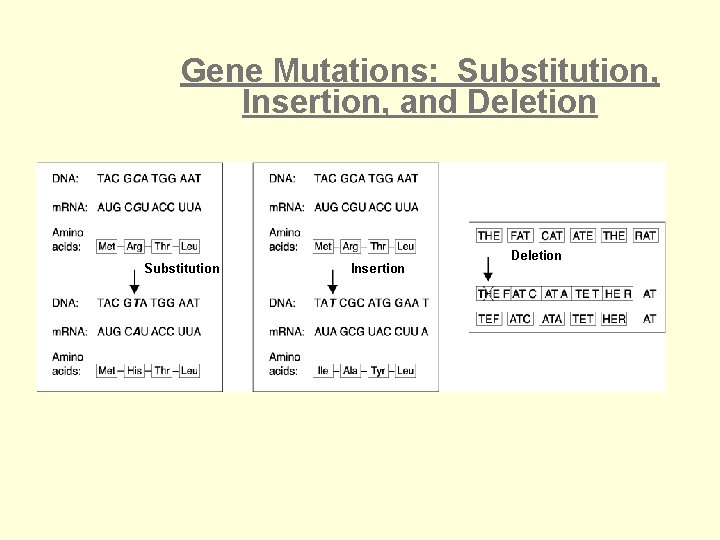 Section 12 -4 Gene Mutations: Substitution, Insertion, and Deletion Substitution Go to Section: Insertion