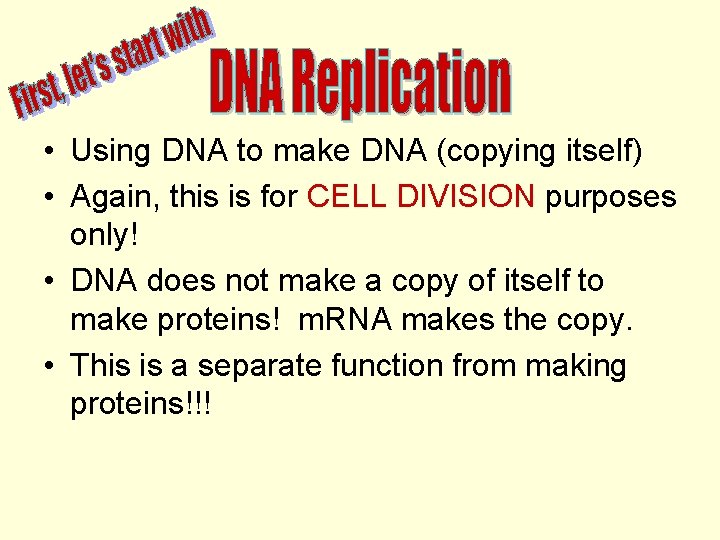  • Using DNA to make DNA (copying itself) • Again, this is for