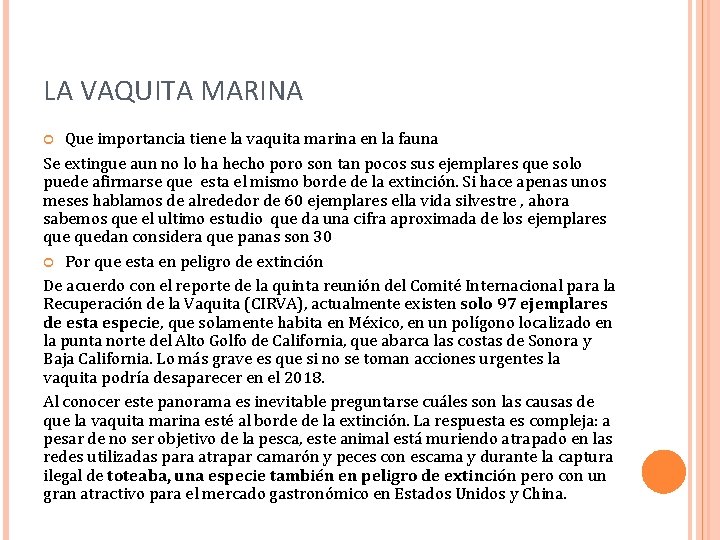 LA VAQUITA MARINA Que importancia tiene la vaquita marina en la fauna Se extingue