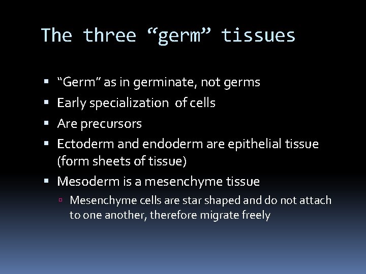 The three “germ” tissues “Germ” as in germinate, not germs Early specialization of cells