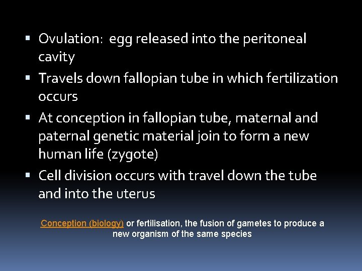  Ovulation: egg released into the peritoneal cavity Travels down fallopian tube in which