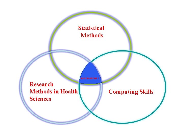 Statistical Methods BIOSTATISTICS Research Methods in Health Sciences Computing Skills 