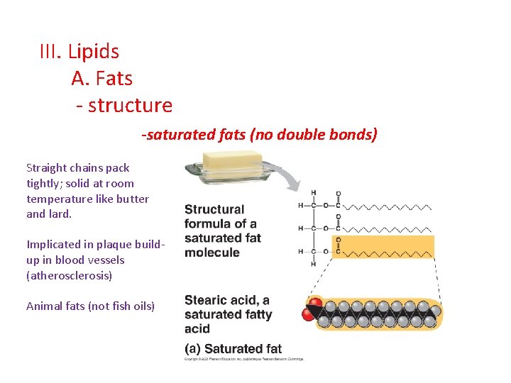 III. Lipids A. Fats - structure -saturated fats (no double bonds) Straight chains pack III. Lipids A. Fats - structure -saturated fats (no double bonds) Straight chains pack