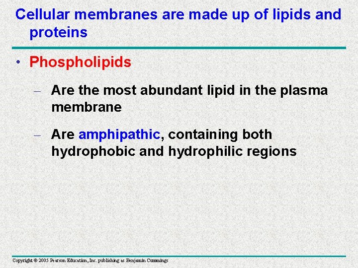 Cellular membranes are made up of lipids and proteins • Phospholipids – Are the