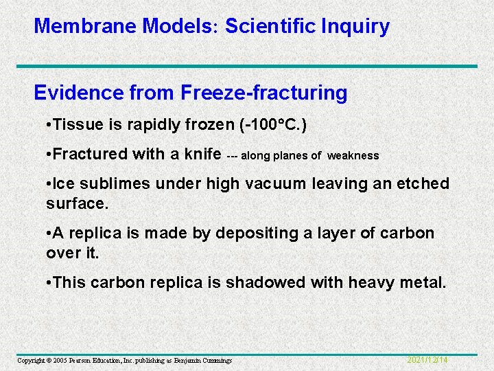 Membrane Models: Scientific Inquiry Evidence from Freeze-fracturing • Tissue is rapidly frozen (-100 C.