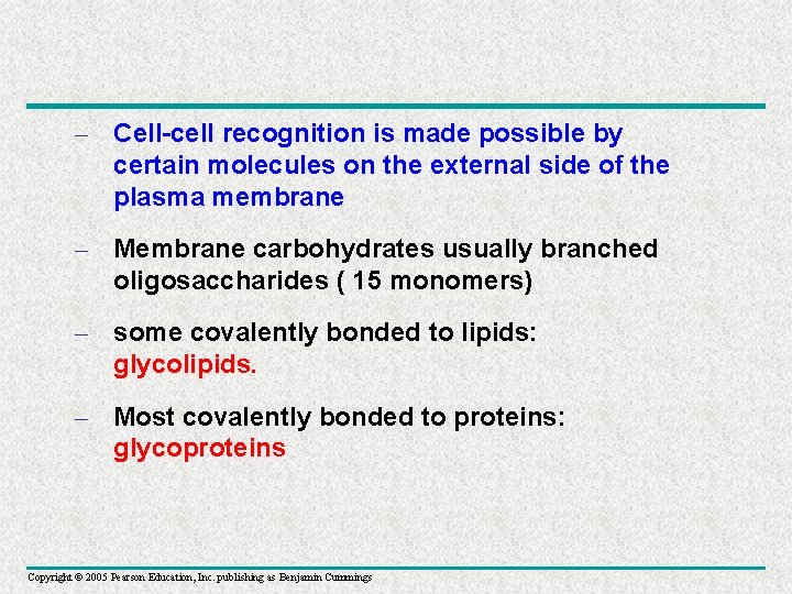 – Cell-cell recognition is made possible by certain molecules on the external side of