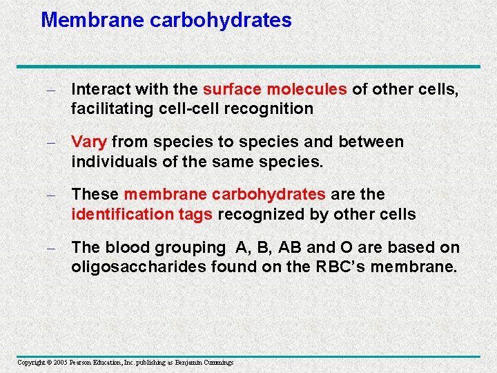 Membrane carbohydrates – Interact with the surface molecules of other cells, facilitating cell-cell recognition