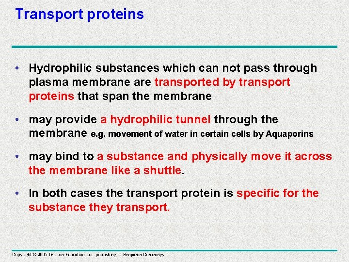 Transport proteins • Hydrophilic substances which can not pass through plasma membrane are transported