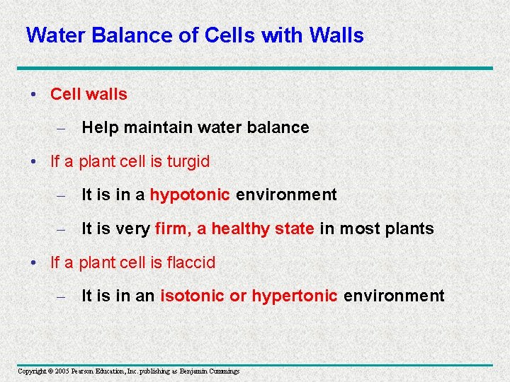 Water Balance of Cells with Walls • Cell walls – Help maintain water balance