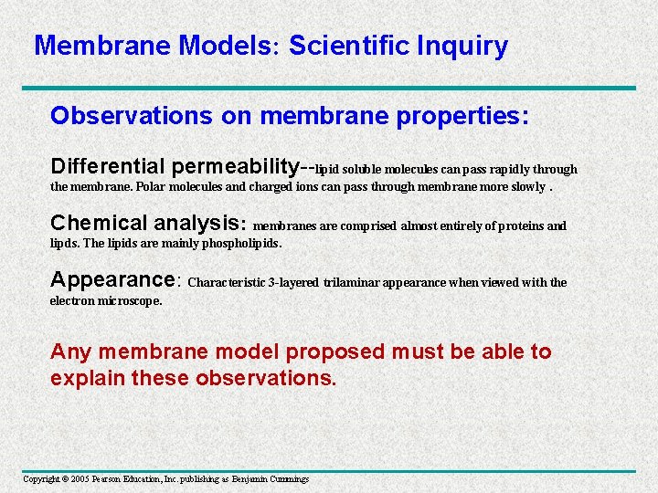 Membrane Models: Scientific Inquiry Observations on membrane properties: Differential permeability--lipid soluble molecules can pass