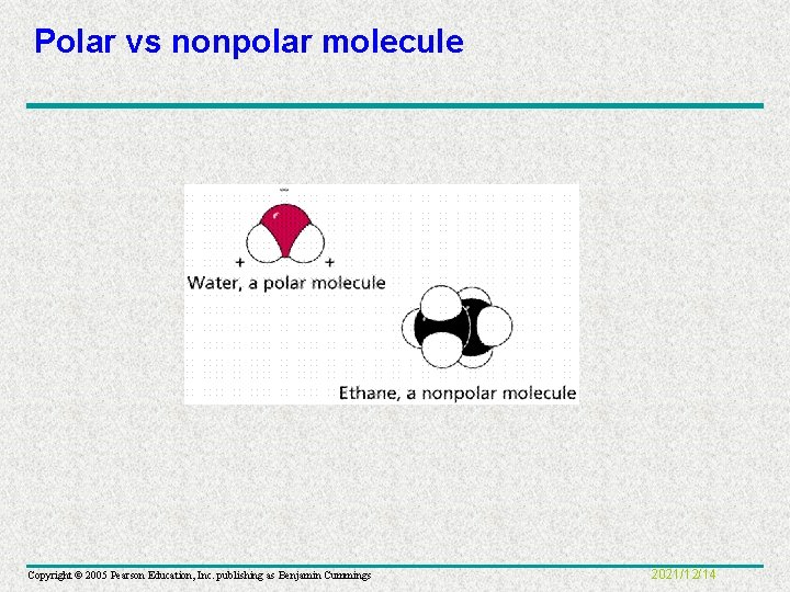 Polar vs nonpolar molecule Copyright © 2005 Pearson Education, Inc. publishing as Benjamin Cummings