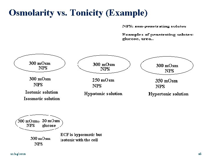 Osmolarity vs. Tonicity (Example) 12/14/2021 16 