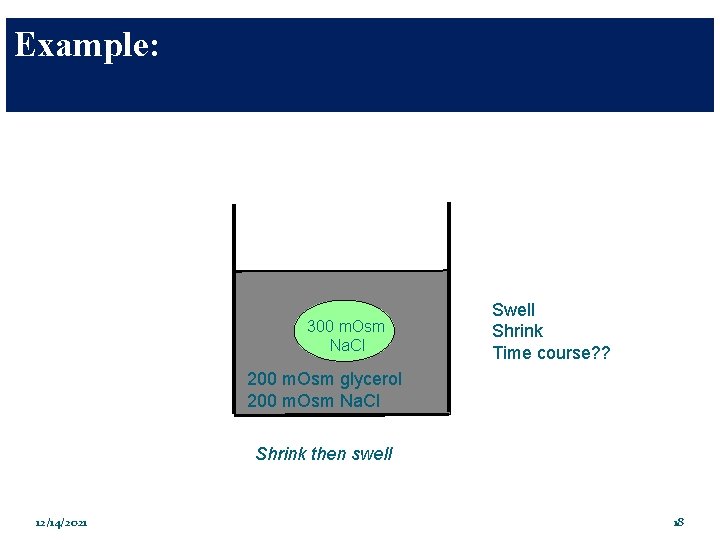 Example: 300 m. Osm Na. Cl Swell Shrink Time course? ? 200 m. Osm
