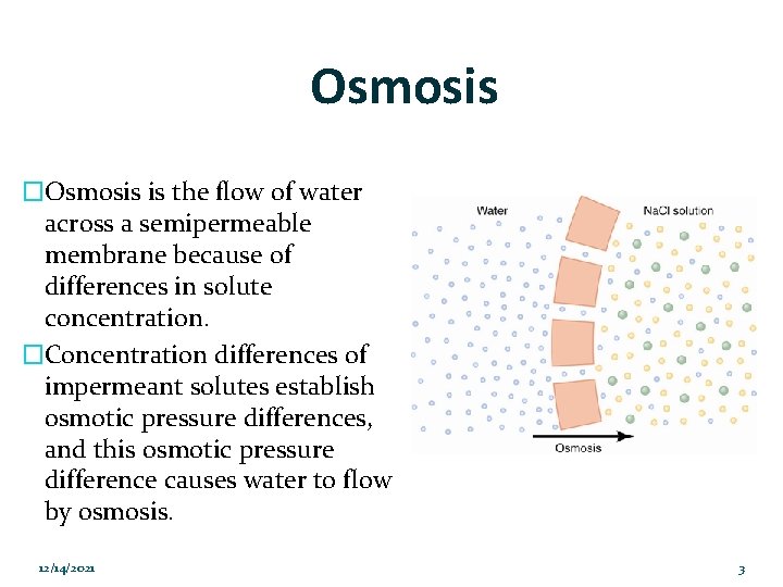 Osmosis �Osmosis is the flow of water across a semipermeable membrane because of differences