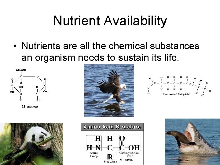 Nutrient Availability • Nutrients are all the chemical substances an organism needs to sustain