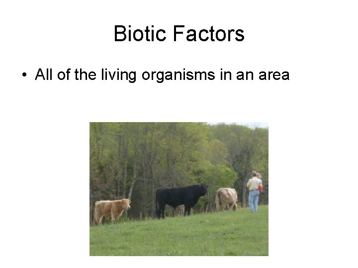 Biotic Factors • All of the living organisms in an area  Biotic Factors • All of the living organisms in an area