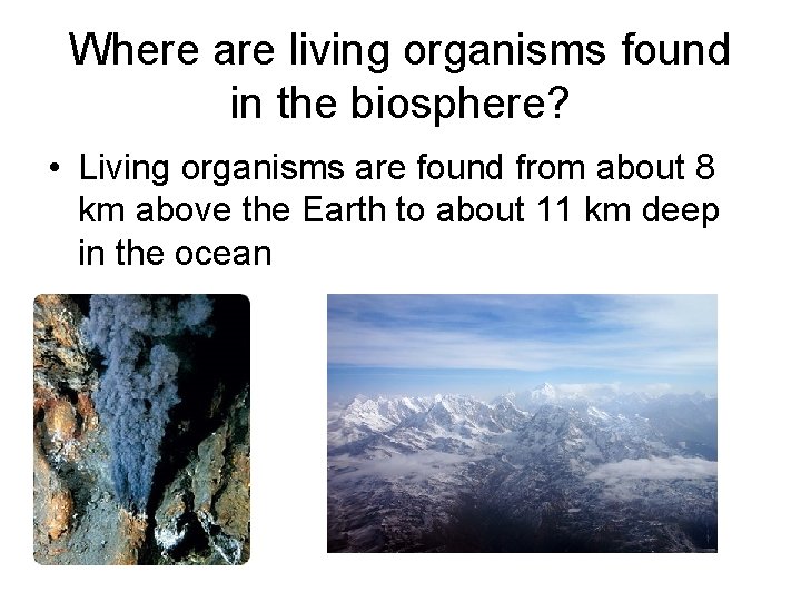 Where are living organisms found in the biosphere? • Living organisms are found from