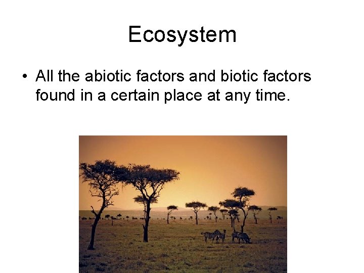 Ecosystem • All the abiotic factors and biotic factors found in a certain place