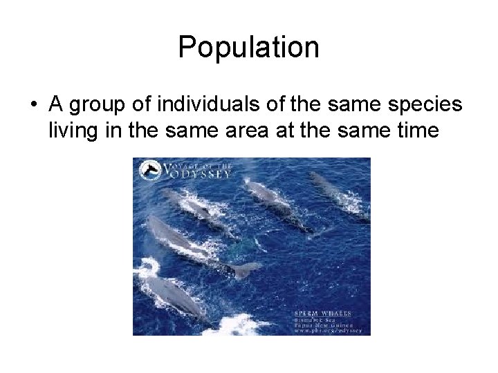 Population • A group of individuals of the same species living in the same