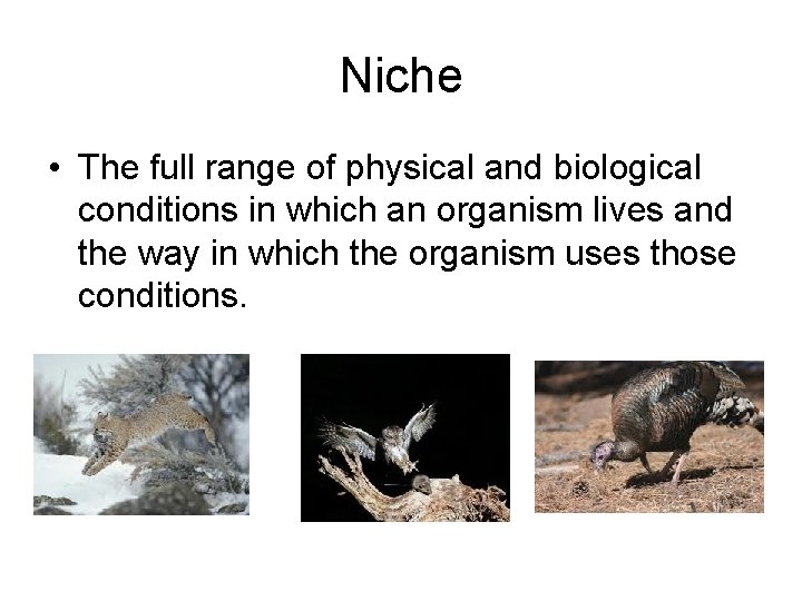 Niche • The full range of physical and biological conditions in which an organism