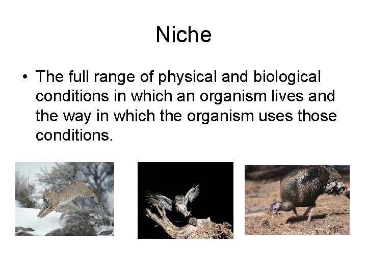 Niche • The full range of physical and biological conditions in which an organism Niche • The full range of physical and biological conditions in which an organism