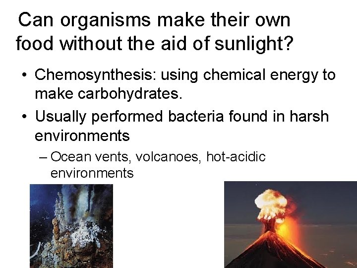 Can organisms make their own food without the aid of sunlight? • Chemosynthesis: using Can organisms make their own food without the aid of sunlight? • Chemosynthesis: using