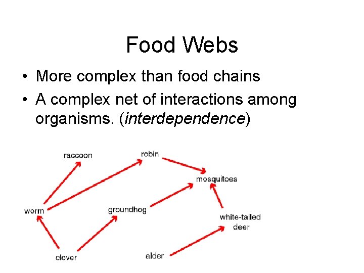 Food Webs • More complex than food chains • A complex net of interactions