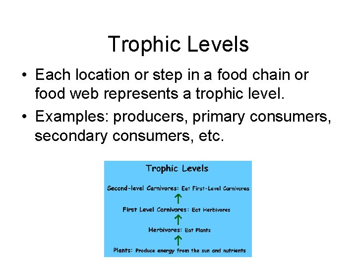 Trophic Levels • Each location or step in a food chain or food web
